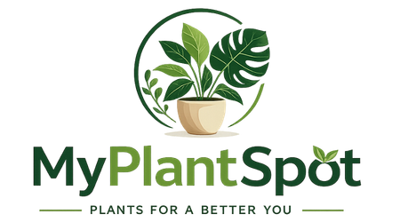 My Plant Spot