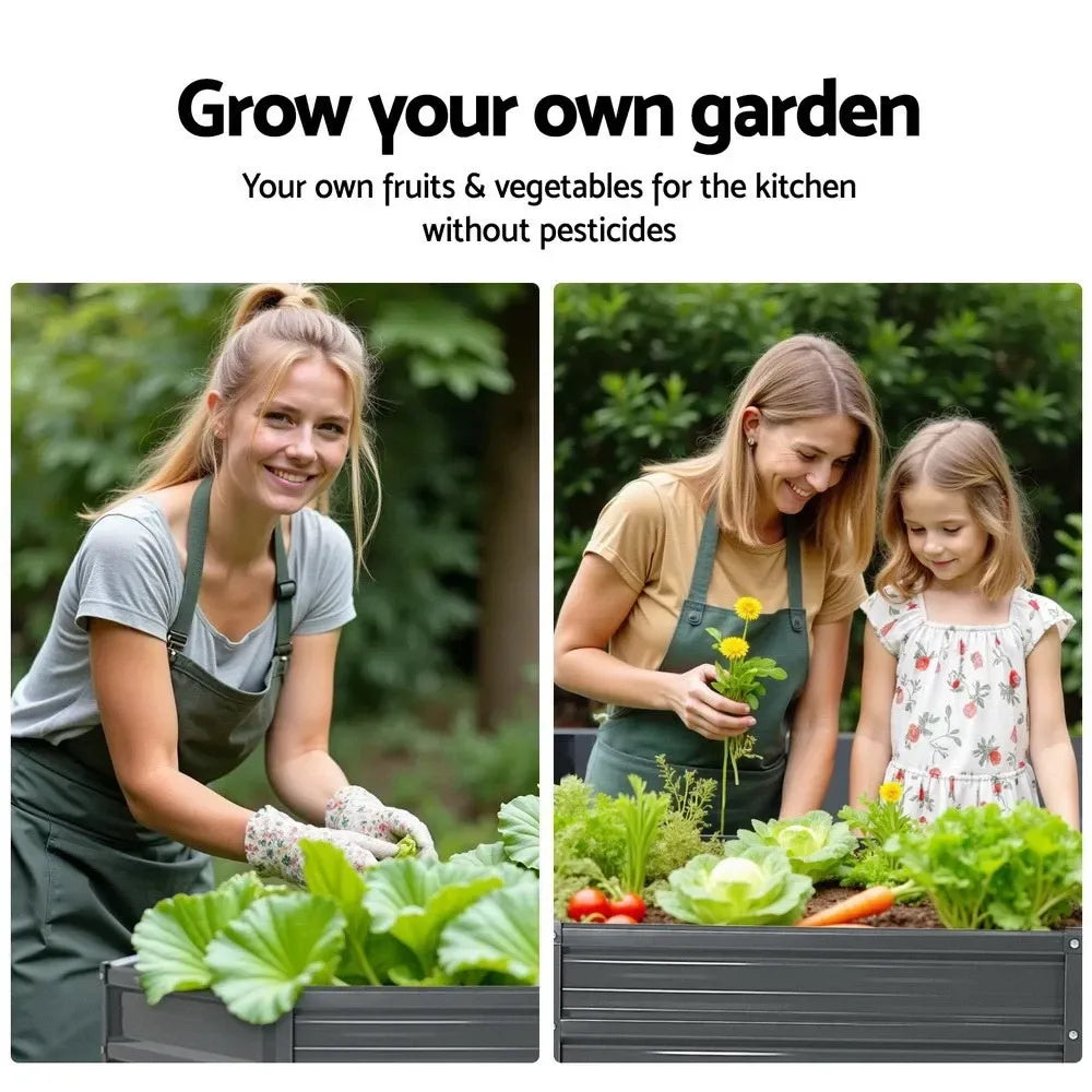 NEW GARDEN BED